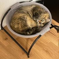 Gambar Cat Dog Bed Pet Hammock Cat Standing Bed Pet Supplies Full Wash dari muskellunge undefined 3 Tokopedia