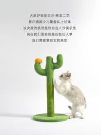 Gambar Cat Climbing Frame Cat Scratching Post Pet Supplies Wholesisal dari bridle undefined 2 Tokopedia