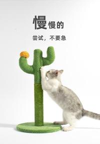 Gambar Cat Climbing Frame Cat Scratching Post Pet Supplies Wholesisal dari bridle undefined 1 Tokopedia