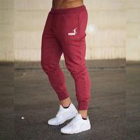 Gambar Man Pants Spring And Aummer New In Mens Clothing Casual Trousers dari Paloma Wish undefined 3 Tokopedia