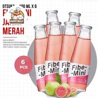 Gambar Minuman Serat Fibe-Mini Rich In Fiber Botol 100Ml dari ISCA CACA SEL undefined 4 Tokopedia