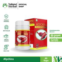 Gambar ALYCHINS - Ekstrak Umbi Bawang Dayak Isi 60 Kapsul dari AKSESORIS MIFTAHH undefined 1 Tokopedia