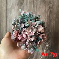 Gambar 6.5g/About 3~4CM Flower Petal,Real Natural Fresh Preserved Flowers dari bungacitrao undefined 3 Tokopedia