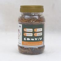 Gambar WORMTAIL Snack Hamster Burung 3in1 Dried Insect 50gr dari MRTAN Farm House undefined 3 Tokopedia