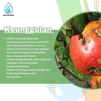 Gambar Decis 25EC Insektisida / pembasmi hama, ulat, belalang - 100ml dari NETAFARM undefined 4 Tokopedia