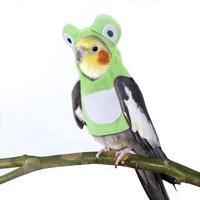 Gambar Pet Bird Clothes Parrot Sells Cute Bird Transformation Frog Creat dari Akasuki id undefined 2 Tokopedia