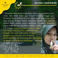 Gambar Propolis SM Obat Kumur Sariawan di lidah terasa sakit bengkak dan mati dari wilmer store undefined 3 Tokopedia