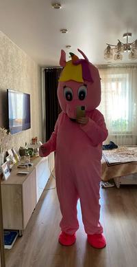Gambar Cosplay Mascot Unicorn Horse Cartoon Character Costume Party Masc dari Celly Official1 undefined 3 Tokopedia