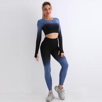 Gambar 2 Pcs Seamless Yoga Set Women Gym Clothing Long Sleeve Crop Top dari Toko Erlangga4 undefined 3 Tokopedia