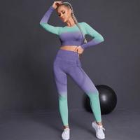 Gambar 2 Pcs Seamless Yoga Set Women Gym Clothing Long Sleeve Crop Top dari Toko Erlangga4 undefined 2 Tokopedia