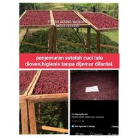 Gambar teh rosela merah 500 gram dari Tobis1 undefined 1 Tokopedia