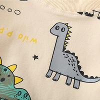 Gambar Toddr Baby Boy Clothing Sets Litt Dinosaur Printed Long dari Carya Supplier undefined 3 Tokopedia