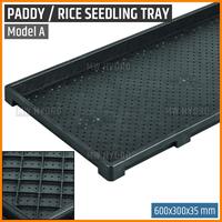 Gambar Paddy / Rice Seedling Tray, Tray Semai Bibit Padi / Microgreen - A dari ririnbeauty- undefined 2 Tokopedia