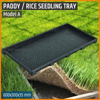 Gambar Paddy / Rice Seedling Tray, Tray Semai Bibit Padi / Microgreen - A dari ririnbeauty- undefined 3 Tokopedia