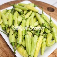 Gambar KIRIM INSTAN Cabe Rawit Muda 100gr dari SayurExpress.id undefined 2 Tokopedia