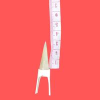 Gambar Jalu Sambung Asli ukuran 2cm - 5cm - Jalu Ayam Asli, 2 cm dari premiumlaris undefined 4 Tokopedia