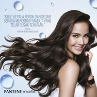Gambar hk3 Pantene Micellar Detox and Purify Shampoo 530 ml dari ARKAAULIA31 undefined 3 Tokopedia