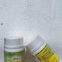 Gambar [ Gratis Ongkir ] OBAT LAMBUNG KRONIS PALING AMPUH PRODUK HERBAL G-MAG dari RERE STORE 06 undefined 2 Tokopedia