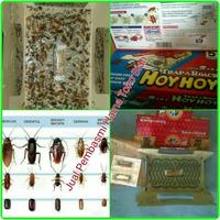 Gambar Perangkap Jebakan Kecoa Trap A Roach Hoy Hoy dari PSOUPS Seller undefined 5 Tokopedia