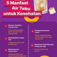 Gambar Bibit Tebu Salah 1Kg Unggul Siap Tumbuh Organik Tanaman Nusantara Bali dari Mustika Djamue undefined 5 Tokopedia