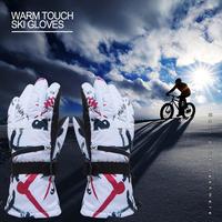 Gambar Professional Ski Gloves Touch Screen Cotton Winter Warm Snowboard dari Fancyan undefined 3 Tokopedia