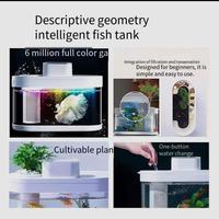 Gambar Akuarium Ekologi Tangki Ikan Orang Malas Kreatif Tangki Ikan dari ABL Leather undefined 4 Tokopedia