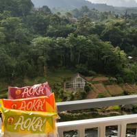 Gambar PPC aoka mix roti panggang isi selai TERLARIS dari Alvira shopp undefined 1 Tokopedia
