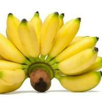 Gambar Pisang Lampung - Kaya akan Vitamin 1 sisir dari HIDAYAT STORE IND undefined 3 Tokopedia
