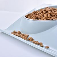 Gambar Stainless Steel Water Bowl Feeder Solution Dog And Cat Supplies D dari Sinar Bintang9 undefined 3 Tokopedia