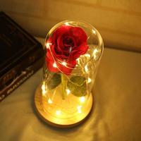 Gambar NEW!! Lampu Meja Hias LED Mawar Beauty and The Beast Warm White dari Joy Offical undefined 3 Tokopedia