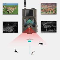 Gambar SD IR Hunting Cellar Trail Camera 16MP 1080P Photo Traps HC300M Wild dari Smarti DiD undefined 3 Tokopedia