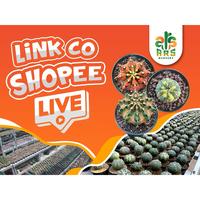 Gambar astro/gymno co live 65000 qklpic 0361gg dari JAYAKLOI undefined 3 Tokopedia