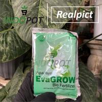 Gambar evagrow - bio organic fertilizer - pupuk hayati - pupuk hauqlt 9398ov dari Karnanz undefined 3 Tokopedia