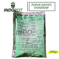 Gambar evagrow - bio organic fertilizer - pupuk hayati - pupuk hauqlt 9398ov dari Karnanz undefined 2 Tokopedia