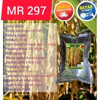 Gambar mr 297 benih padi 1 kg mantap daun tegak tahan burung pi shcwkr 0760uq dari Anselmoc undefined 2 Tokopedia