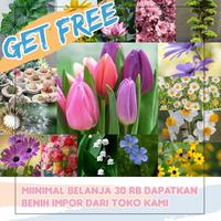 Gambar BIJI BIBIT BENIH SUKULEN / SUCCULENT lucu dari Onlinehouse undefined 2 Tokopedia