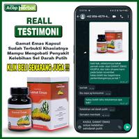 Gambar Obat Kelebihan Sel Darah Putih Leukosit Tinggi pada anak Lekositosis dari indahkurnianty undefined 2 Tokopedia
