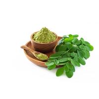 Gambar Terbaruuu!!! Organik Moringa powder / Kelor Bubuk 1KG dari ShopatTiara undefined 2 Tokopedia