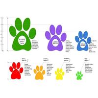 Gambar Pawz Disposable Rubber Dog Boots UNTUK ANJING SEMUA UKURAN Limited dari lianaa toko. undefined 3 Tokopedia