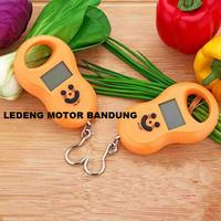 Gambar Timbangan Gantung Digital Smile Timbang Barang Portable Otomatis dari Ledeng Motor Bandung undefined 2 Tokopedia
