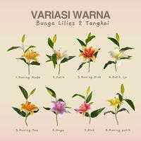 Gambar Bunga lili Palsu Imitasi Cabang 2 dan 3 Bunga Lily/Lilies Latex Artificial Flower Hiasan Bucket - 2 cbng kode 01 dari Better868 undefined 4 Tokopedia