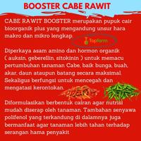 Gambar pupuk cabe rawit cepat berbuah 100 ml / pupuk cabe rawit hlraff 5308wn dari DELATIFO undefined 3 Tokopedia