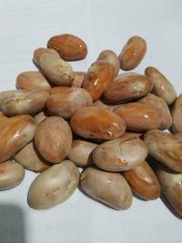 Gambar biji nangka segar 1000 gram xnhwud 4716hf dari ELANDOZ undefined 2 Tokopedia