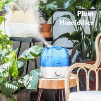 Gambar Aromacare Cool Mist Air Humidifier 2.6L Quiet Ultrasonic Humidifiers dari dirgatoko6 undefined 3 Tokopedia