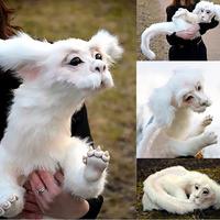 Gambar Plush Toy Falkor From The Neverending Story Plush Doll Birthday Gift dari Hoki selle 78 undefined 4 Tokopedia