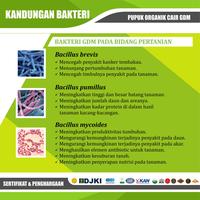 Gambar gdm pupuk organik terbaik untuk strawberry 1 liter ouhpmh 0027jw dari HOOSA ENAF undefined 2 Tokopedia