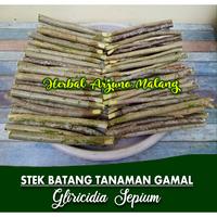 Gambar (20pcs) stek batang tanaman pagar pohon gamal kleresede mrjxur 2149ln dari ozdaj93 undefined 1 Tokopedia