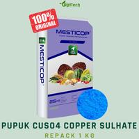 Gambar pupuk cuso4 chopper sulfate tembaga sulfate terusi kemas bcmcrp 9261fr dari HOOSA ENAF undefined 2 Tokopedia