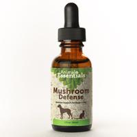 Gambar New Animal Mushroom Defense | Immune Prebiotics Support | Healthcare Dogs & Cats dari feri irawannn39 undefined 1 Tokopedia