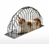 Gambar BEST SELLER KANDANG MANDI KUCING - KANDANG GROOMING BEST SELLER dari BUDI STORE3 undefined 3 Tokopedia